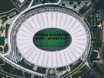 YY易游体育-体育仲裁机构裁定争议案件，维护赛事公平公正